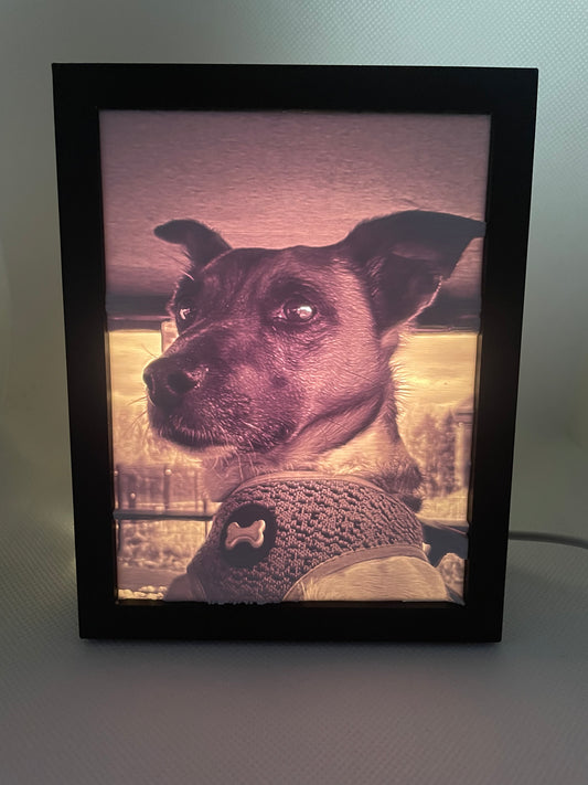 Custom Light Box